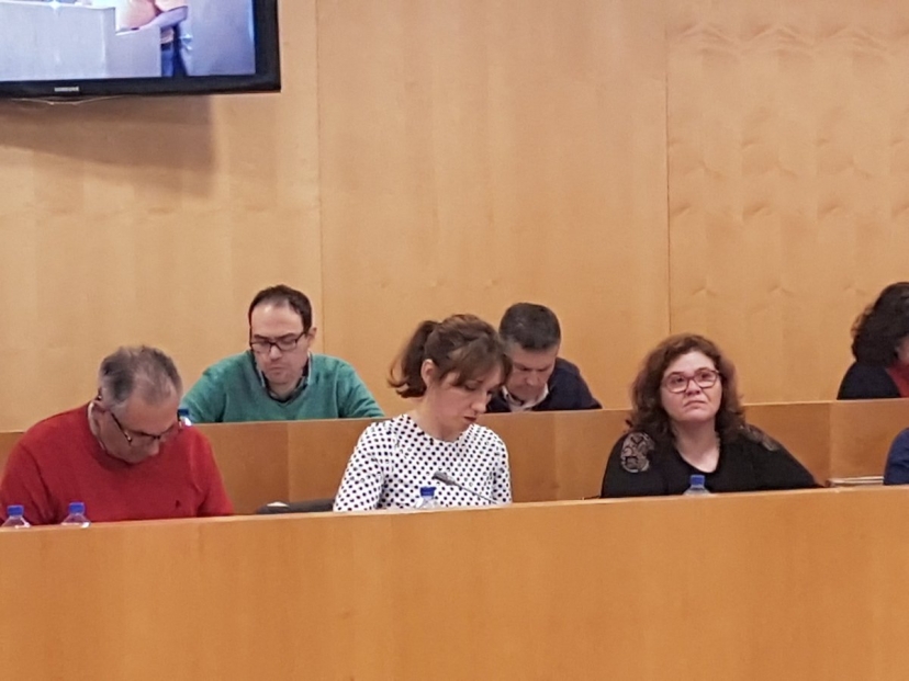 IU Y Participa Sevilla presentan en Diputación una Moción sobre el aumento de la financiación de las iniciativas de Cooperación Local de la Junta de Andalucía por el incremento del SMI.