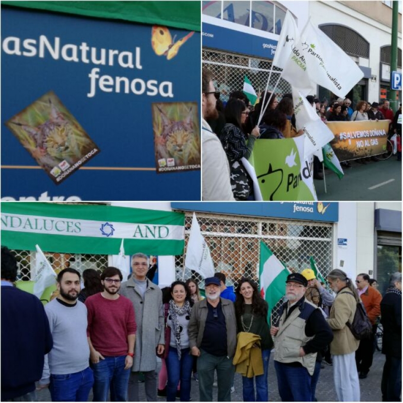 Decimos #DoñanaNoSeToca ante las oficinas de Gas Natural en Sevilla 